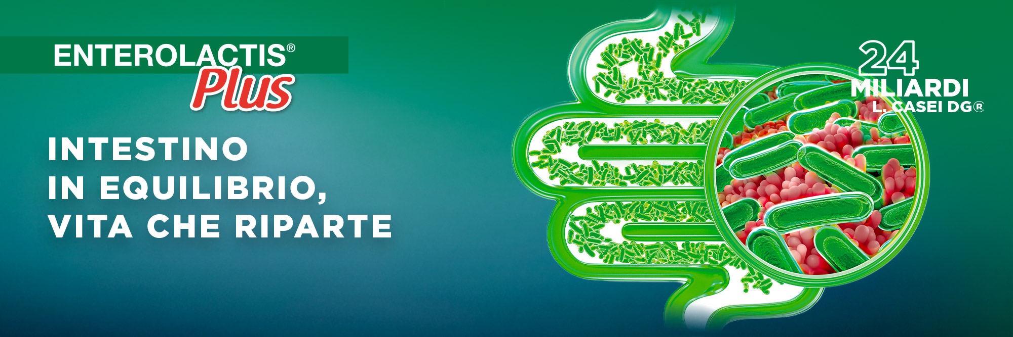 enterolactis_FAQ_desktop